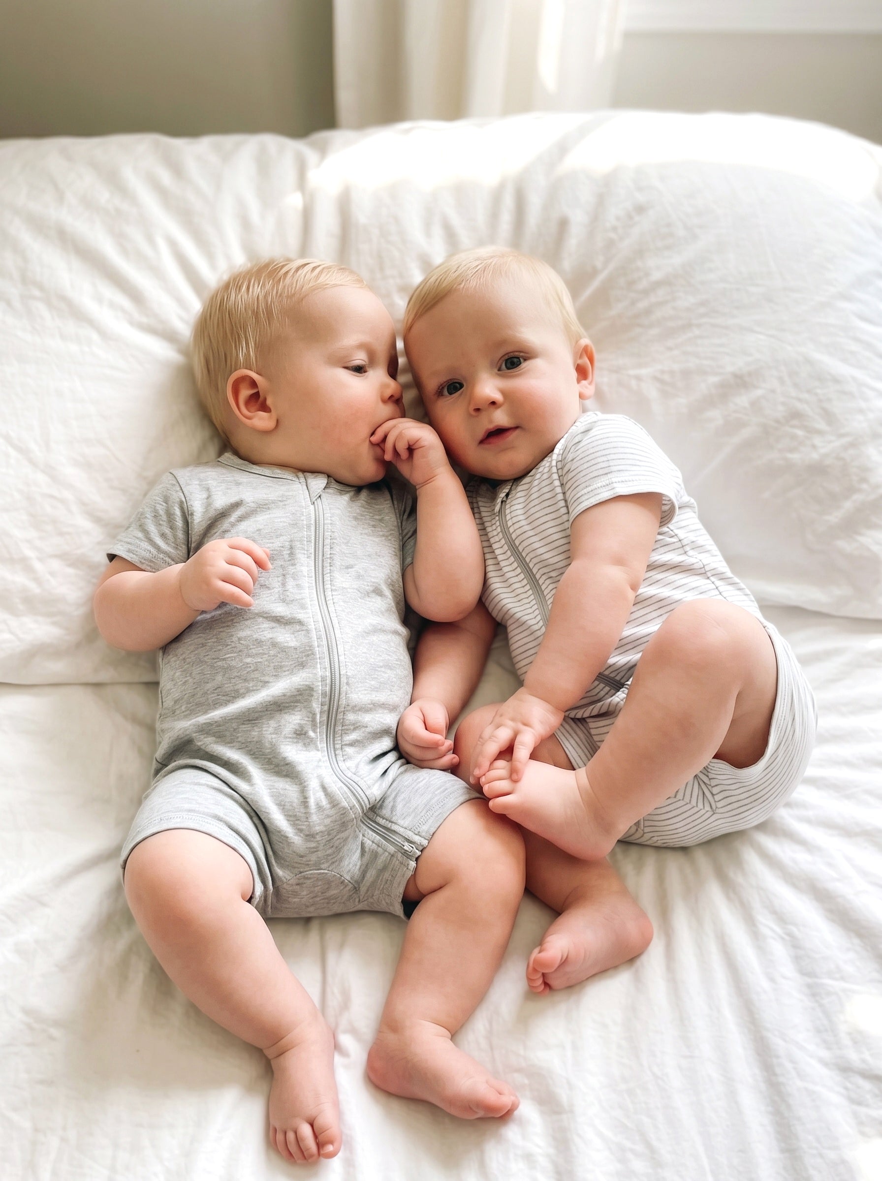 2026 SoftFlex™ Cotton Collection